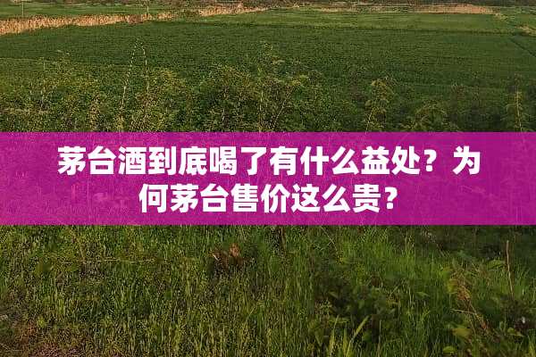 茅台酒到底喝了有什么益处？为何茅台售价这么贵？