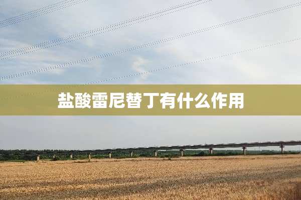 **雷尼替丁有什么作用