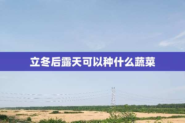 立冬后露天可以种什么蔬菜
