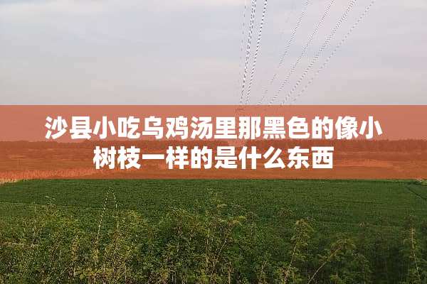 沙县小吃乌鸡汤里那黑色的像小树枝一样的是什么东西