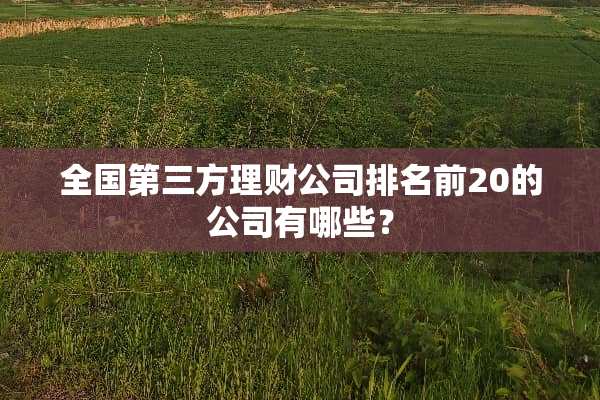全国第三方理财公司排名前20的公司有哪些？