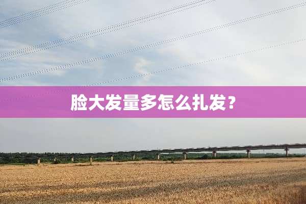 脸大发量多怎么扎发？