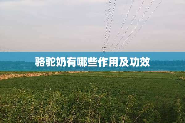 骆驼奶有哪些作用及功效