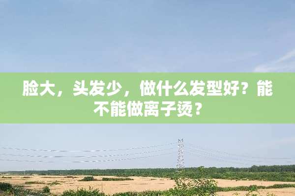 脸大，头发少，做什么发型好？能不能做离子烫？