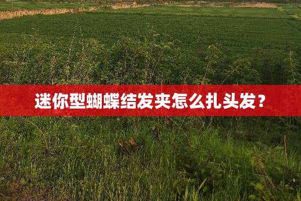 迷你型蝴蝶结发夹怎么扎头发？