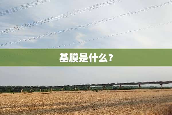 基膜是什么？