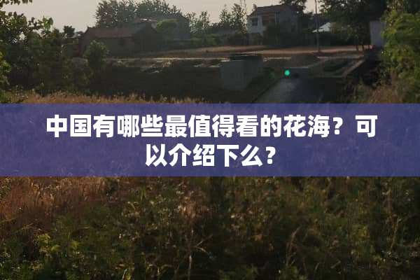 中国有哪些最值得看的花海？可以介绍下么？