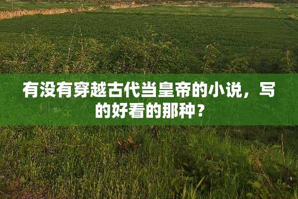 有没有穿越古代当皇帝的小说，写的好看的那种？