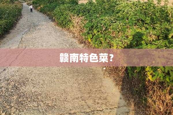 赣南特色菜？