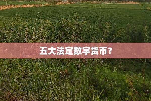 五**定数字货币？