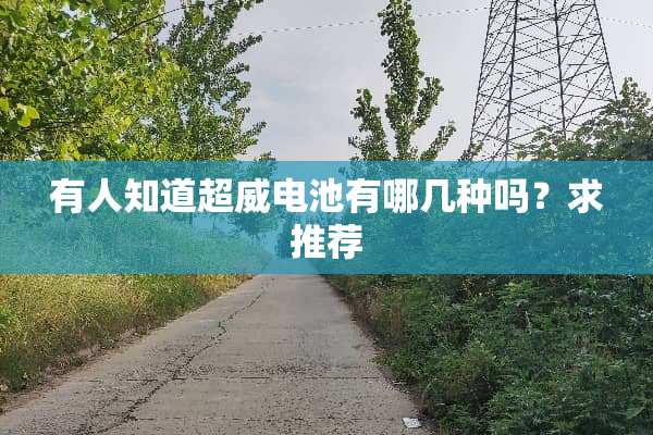 有人知道超威电池有哪几种吗？求推荐