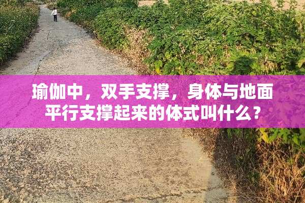 瑜伽中，双手支撑，身体与地面平行支撑起来的体式叫什么？