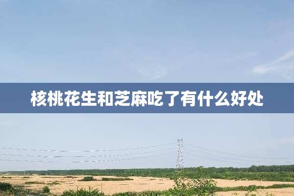 核桃花生和芝麻吃了有什么好处