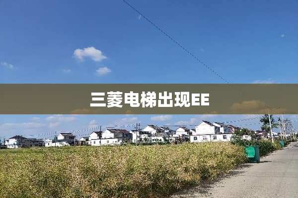 三菱电梯出现EE
