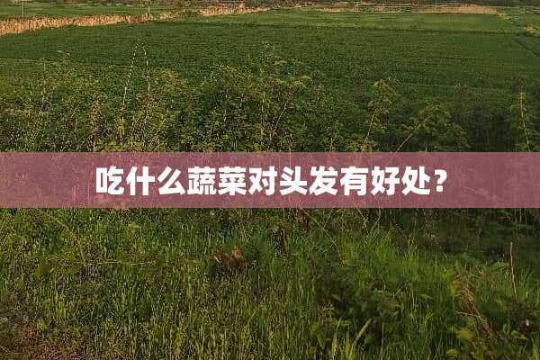 吃什么蔬菜对头发有好处？