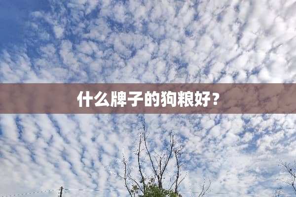 什么牌子的狗粮好？