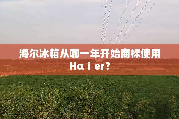 海尔冰箱从哪一年开始商标使用Hαⅰer？