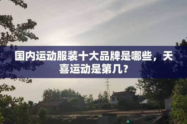 国内运动服装十大品牌是哪些，天喜运动是第几？