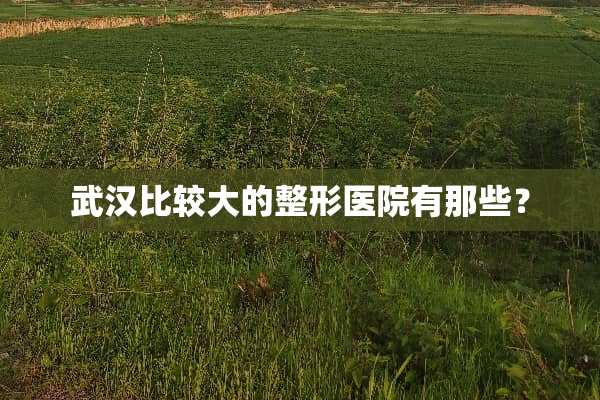 武汉比较大的整形医院有那些？