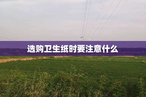 选购卫生纸时要注意什么
