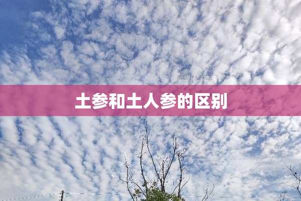 土参和土人参的区别