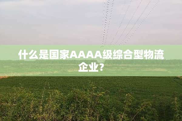 什么是国家AAAA级综合型物流企业？