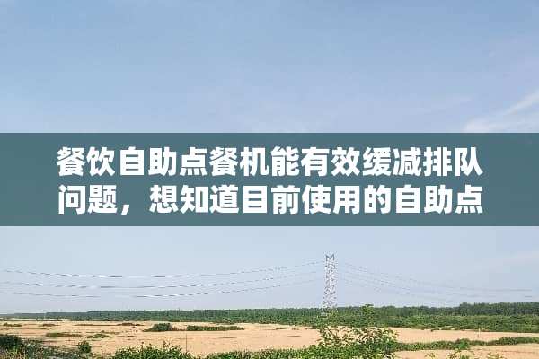 餐饮自助点餐机能有效缓减排队问题，想知道目前使用的自助点餐机都有哪些？