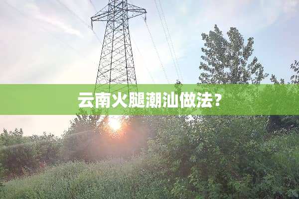 云南火腿潮汕做法？