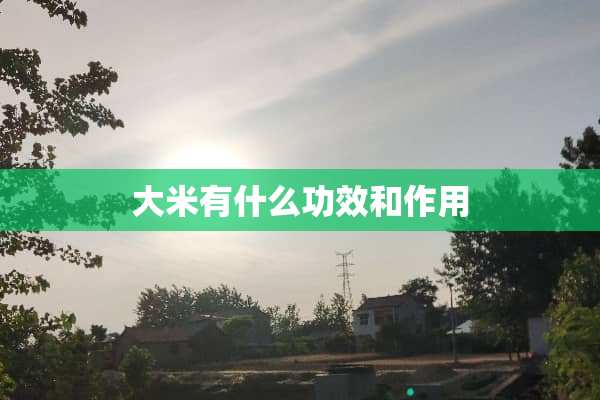 大米有什么功效和作用