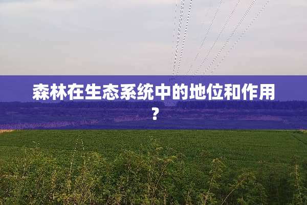 森林在生态系统中的地位和作用？