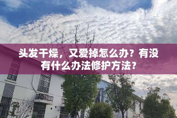 头发干燥，又爱掉怎么办？有没有什么办法修护方法？
