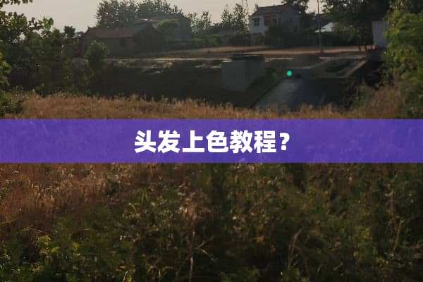 头发上色教程？