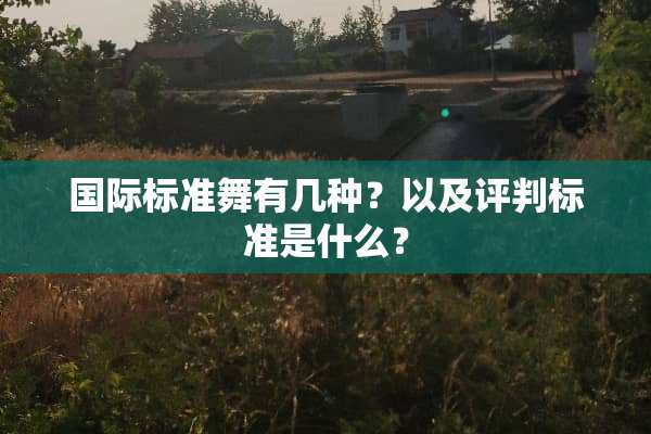 国际标准舞有几种？以及评判标准是什么？