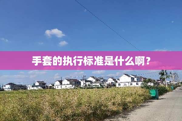 手套的执行标准是什么啊？