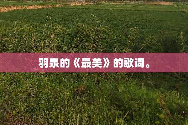 羽泉的《最美》的歌词。