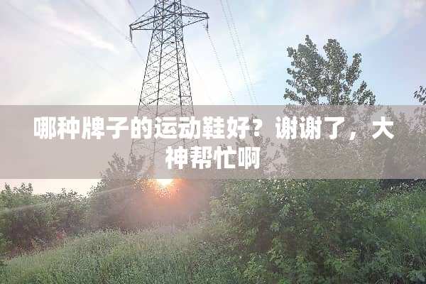 哪种牌子的运动鞋好？谢谢了，大神帮忙啊