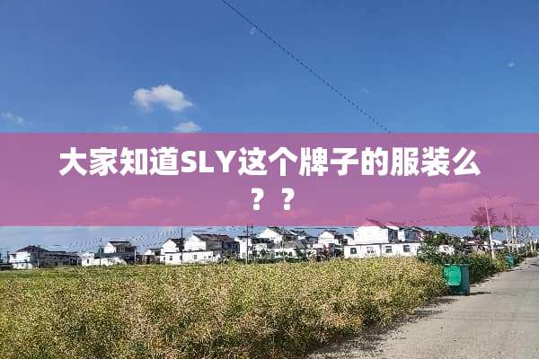大家知道SLY这个牌子的服装么？？