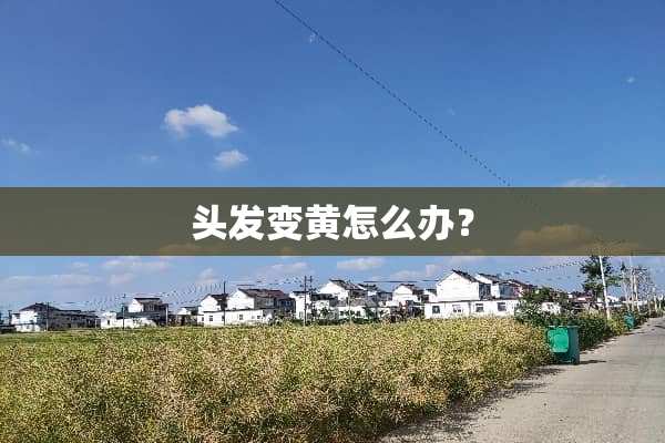 头发变黄怎么办？