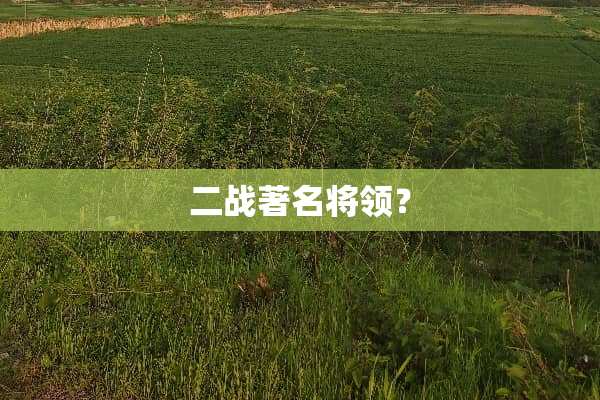 二战著名将领？