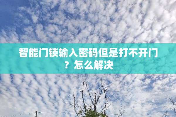 智能门锁输入密码但是打不开门？怎么解决