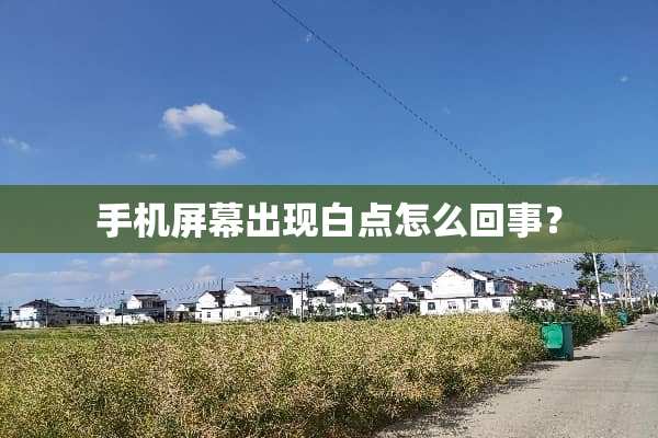 手机屏幕出现白点怎么回事？