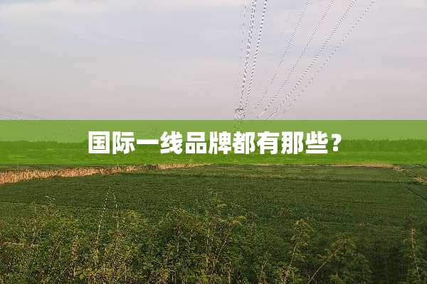 国际一线品牌都有那些？