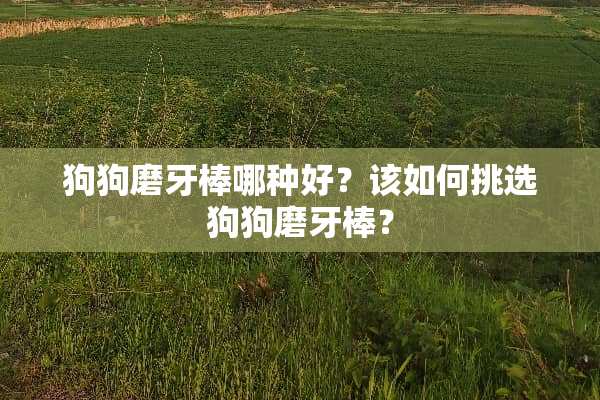 狗狗磨牙棒哪种好？该如何挑选狗狗磨牙棒？