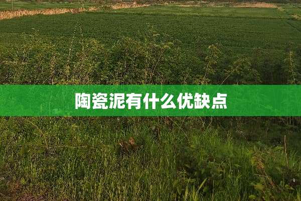 陶瓷泥有什么优缺点