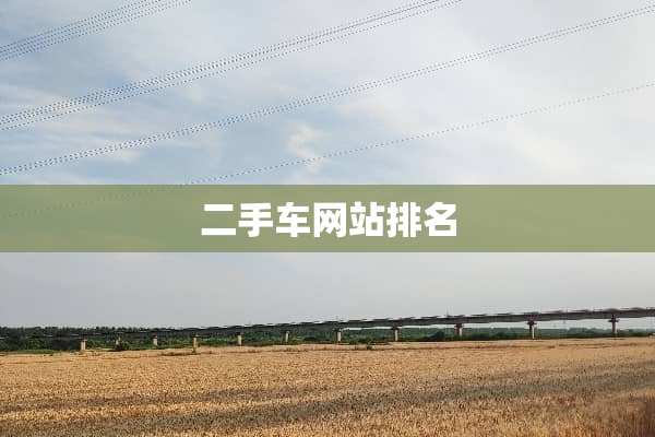 二手车网站排名