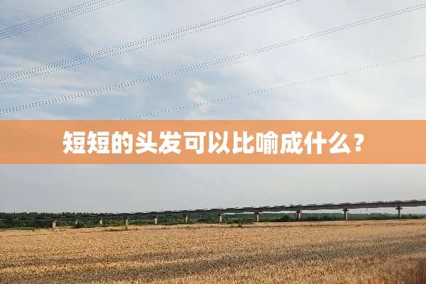 短短的头发可以比喻成什么？