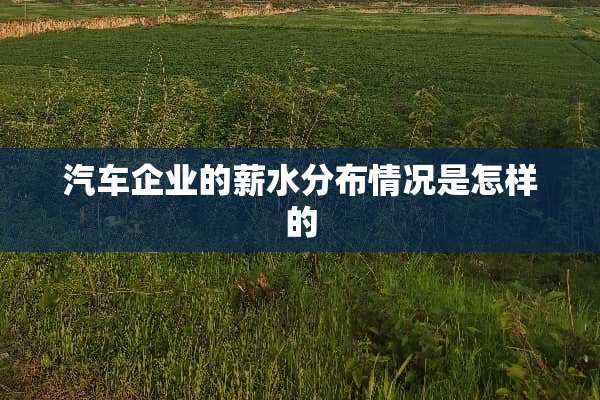 汽车企业的薪水分布情况是怎样的