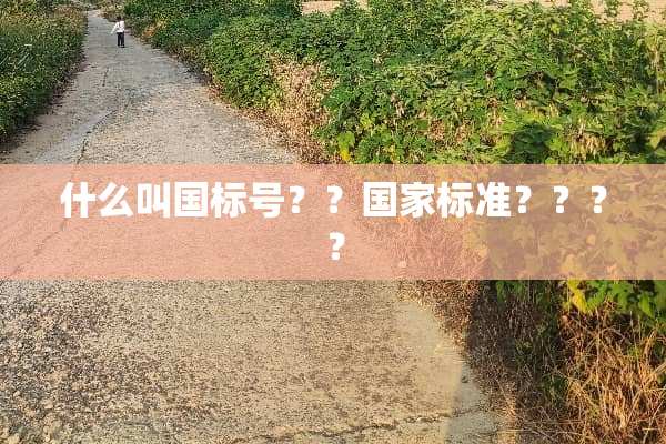 什么叫国标号？？国家标准？？？？