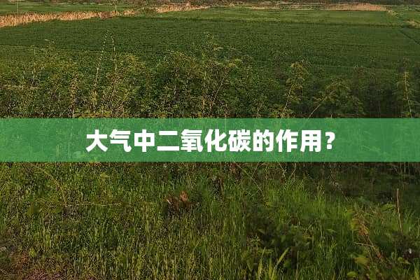大气中二**碳的作用？