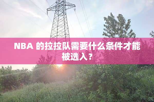 NBA 的拉拉队需要什么条件才能被选入？